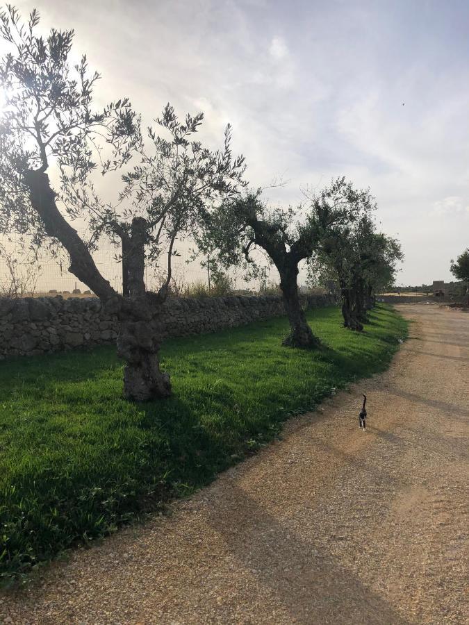 Villino Odaldo Mottola Exteriér fotografie