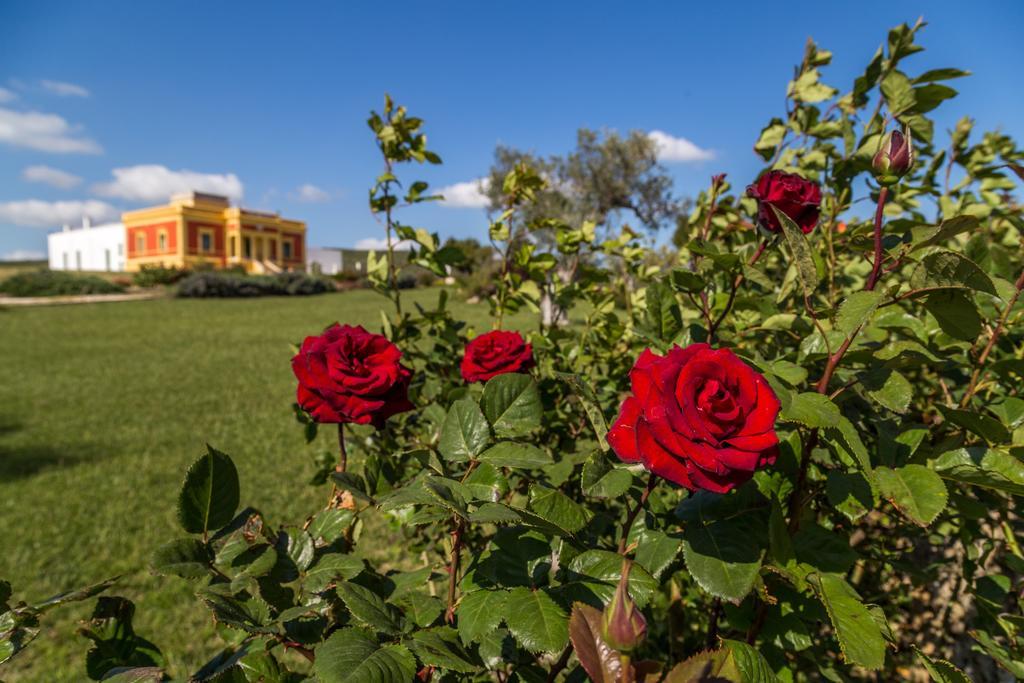 Villino Odaldo Mottola Exteriér fotografie